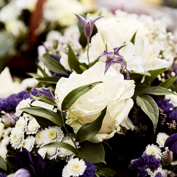 Funeral Directors Plymouth | Funeral Directors in Plymouth | Funeral Directors Saltash | Funeral Directors South Hams | Funeral Directors Crownhill | Funeral Directors Plymstock | Funeral Directors Plympton | Creamtion Plymouth | Direct Cremation Plymouth | Cremation South Hams | Undertakers Plymouth | Undertakers South Hams